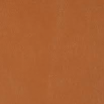 Cinnamon PPM FR Leather [+€180.60]